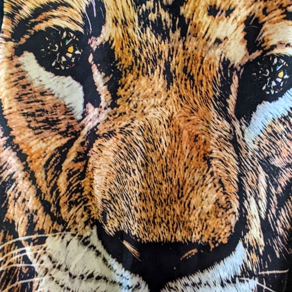 Diamond Supply Co. fillmore lion crewneck sweater - Picture 4 of 4